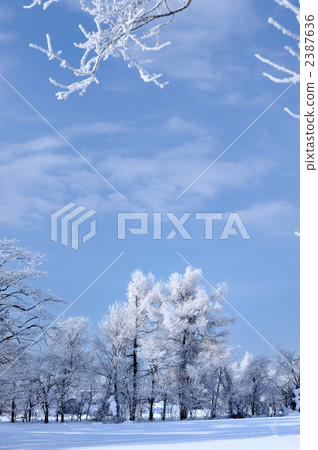 霧凇 白雪皚皚 雪景 2387636
