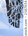 rime, snow scene, trees 2387654