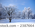 snow scene, rime, winter grove 2387664