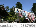 carp streamer, japanese carp-shaped windsock, event 2387959