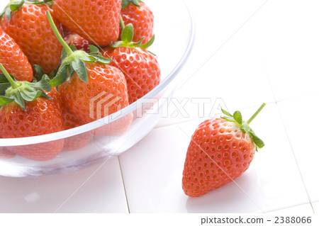 草莓 草莓 2388066