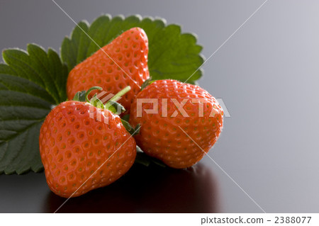 草莓 草莓 2388077