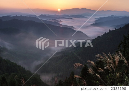 Kii山脈的雲海 2388198