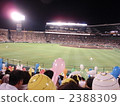Baseball Nitaire 2388309