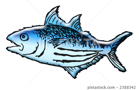 bonito, fish, illustration 2388342