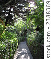 小巷 道 道路 2388369
