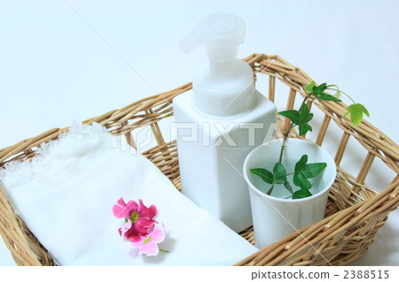 ivy, basket, restroom 2388515