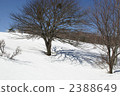 southern yamanashi, wild nashi, snow mountain 2388649