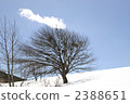 southern yamanashi, snow mountain, snowy mountain 2388651