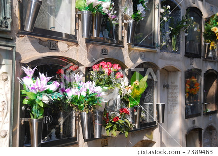 嚴重 嚴重 2389463