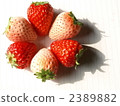 紅色和白色草莓penta 2 2389882