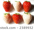 紅色和白色草莓混合1 2389932