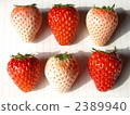 紅色和白色草莓混合2 2389940