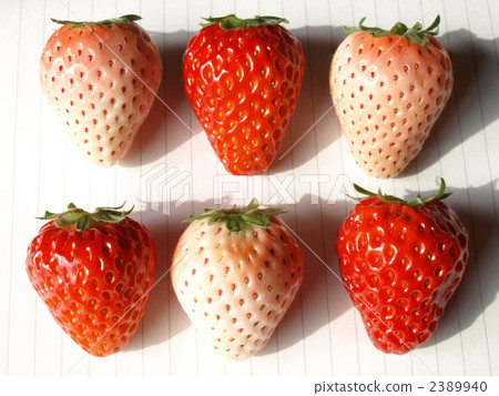 紅色和白色草莓混合2 2389940