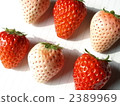 紅色和白色草莓混合4 2389969