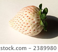 白草莓1 2389980