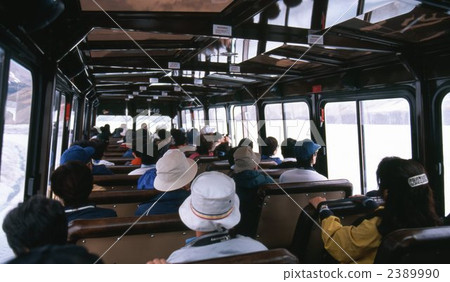 Columbia Great Icefield Columbia Great Icefield 2389990