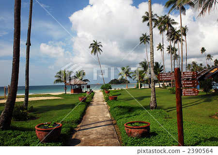 beach cottage, bintan island, beach resort 2390564