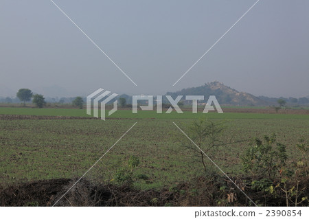 Indian countryside scenery Indian countryside scenery 2390854