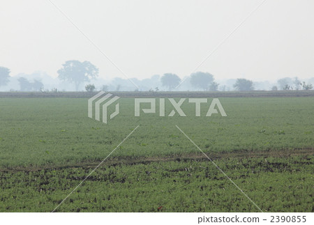 Indian countryside scenery Indian countryside scenery 2390855
