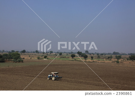 在印度的農田耕作 2390861