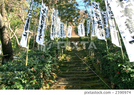 參觀鎌倉最古老的杉本寺 參觀鎌倉最古老的杉本寺 2390974