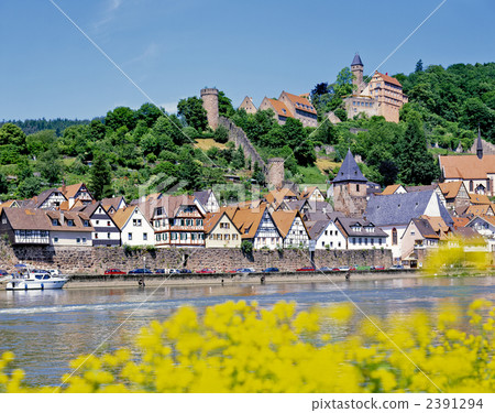 Hirschhorn and the Neckar River Hirschhorn and the Neckar River 2391294