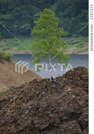 本木 蓄水池 堰塞湖 2391323