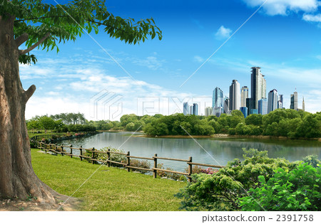 Lake / Park _k _ 607570 Lake / Park _k _ 607570 2391758