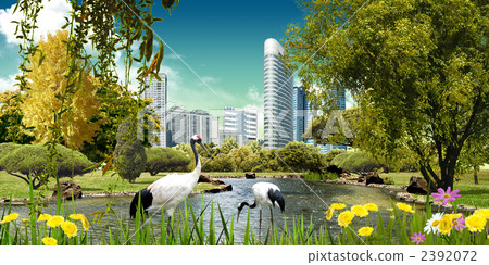 Lake / Park _k _ 357 620 Lake / Park _k _ 357 620 2392072