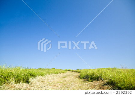 草原和石渣路和藍天 2392392