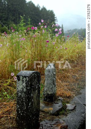 宇宙和諾德佛 宇宙和諾德佛 2392876