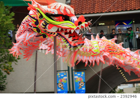 dragon dance, dragon (zodiac), hyogo 2392946