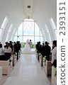 Resort wedding 2393151
