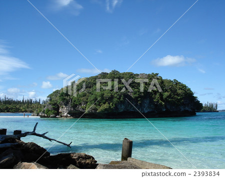 New Caledonia Ile Des Pins 2393834