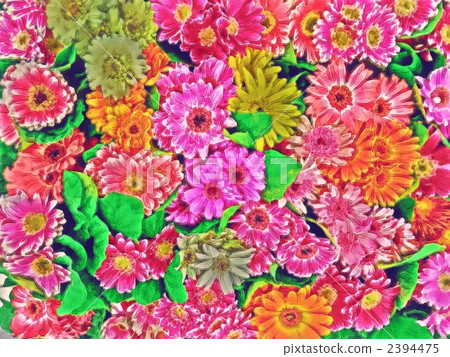 雛菊 雛菊 2394475