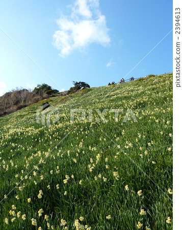 在Nada Kuroiwa Water Senzo 在Nada Kuroiwa Water Senzo 2394613