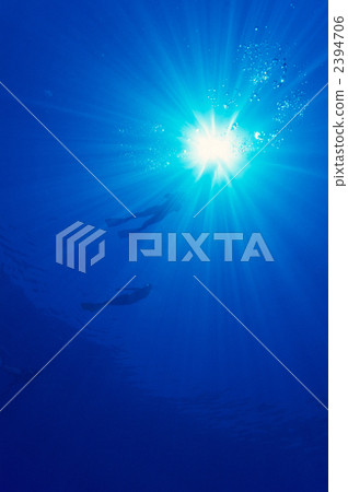 海底的 海裡 光線 2394706