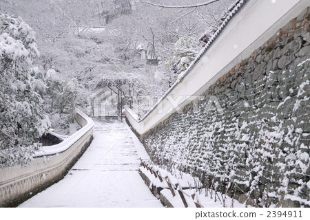 長谷川接近雪 2394911