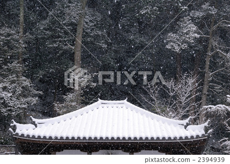 Snow Hasegaji Aizudo 2394939