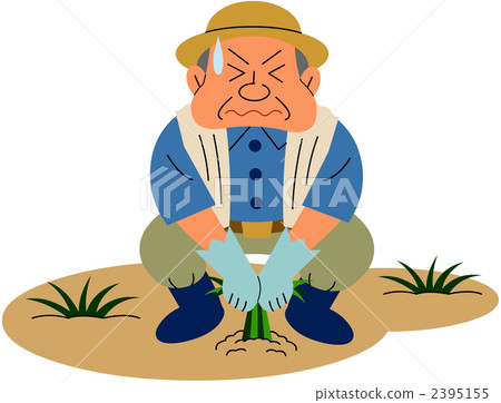 Senior Agriculture 2395155