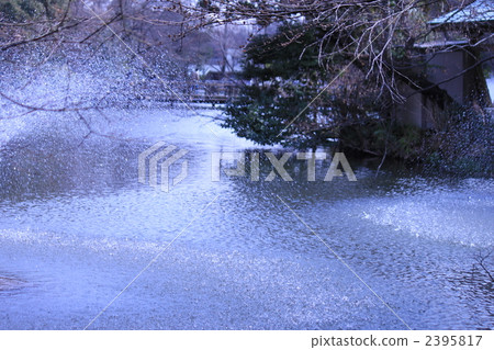 pond, lagoon, inokashirpond 2395817
