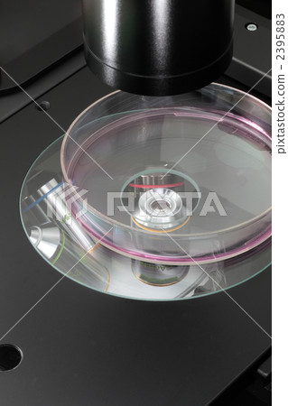  microscope 2395883
