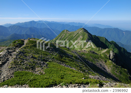 來自Senjitake 2396992