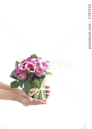 祝賀 祝賀 2397418