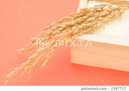 Rice Rice 2397717