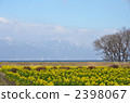 守山市Nagisa Park 2 2398067