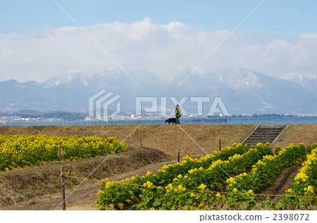 Walk in Moriyama City Nagisa Park Walk in Moriyama City Nagisa Park 2398072