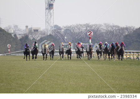 Horse racing · Beating before the goal Horse racing · Beating before the goal 2398334