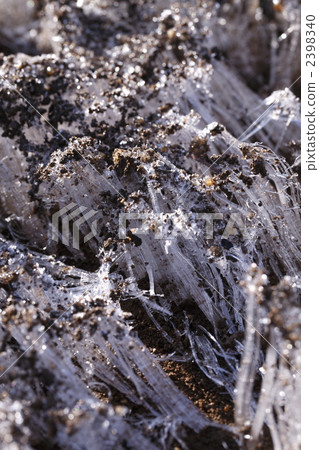 冰襲方陣 冰柱 冬天的早上 2398340